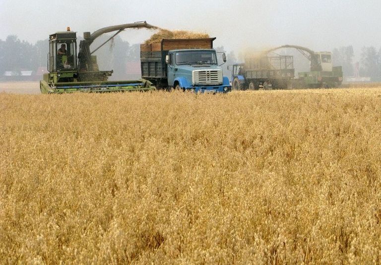 سوريا ترجئ شراء مليون طن من القمح الروسي