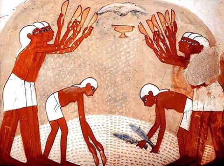 عيد القمح من أقدم الأعياد المصرية التي احتفل بها قدماء الفراعنة