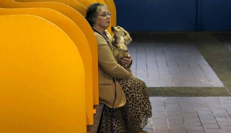 امراة تحمل كلبا خلال مسابقة للحيوانات الأليفة في نيويورك