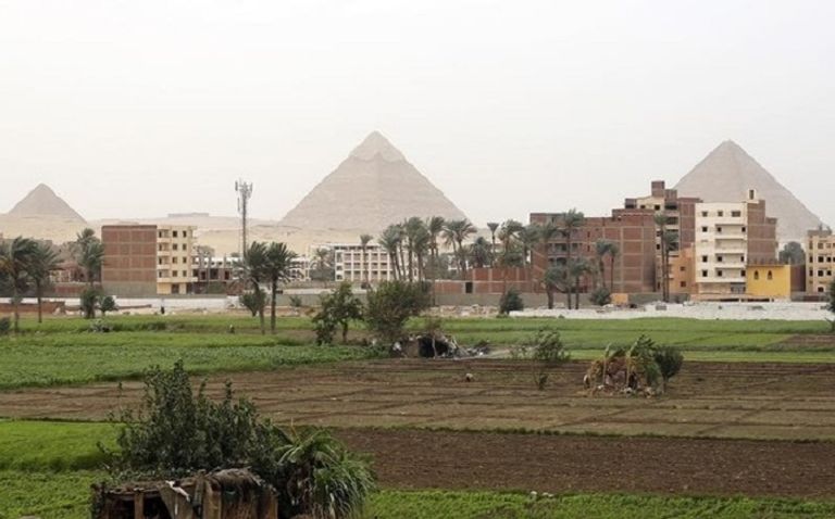 الحكومة المصرية تلجأ للاستيراد لتعويض النقص في السلع التموينية خاصة الأرز