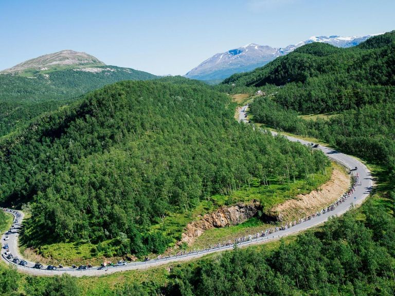 النرويج تتعهد بعدم إزالة الغابات