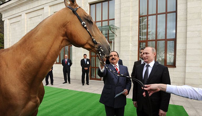 الحصان الروسي الذي أهداه بوتين لملك البحرين