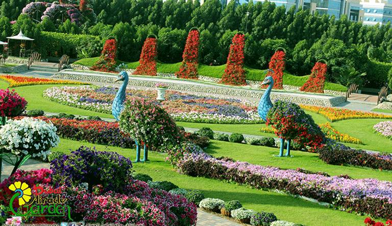 حديقة دبي للزهور