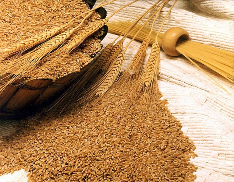 السعودية تطرح مناقصة لشراء 550 ألف طن من القمح الصلد