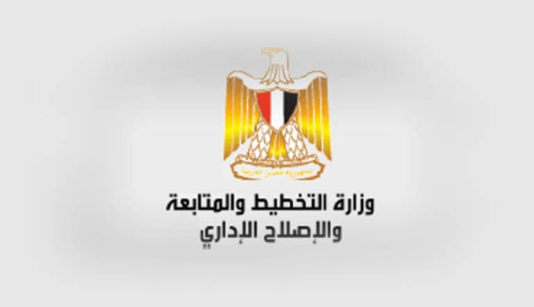 وزارة التخطيط المصرية 