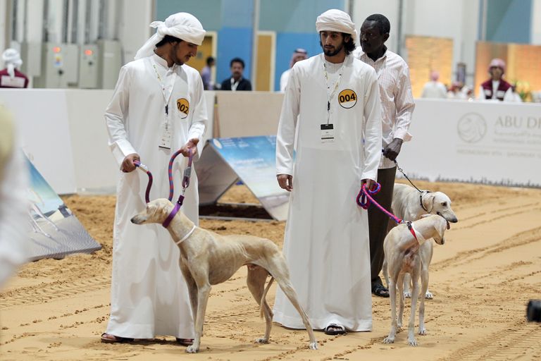 انطلاق المعرض الدولي للصيد والفروسية في أبوظبي الثلاثاء