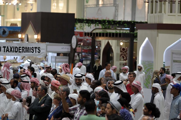 فعاليات الدورة الـ (14) من المعرض الدولي للصيد والفروسية (أبوظبي 2016)