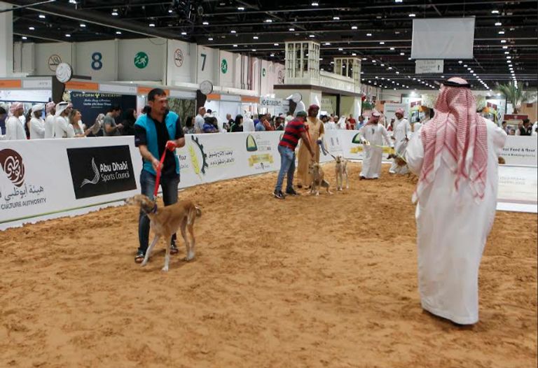 فعاليات الدورة الـ (14) من المعرض الدولي للصيد والفروسية (أبوظبي 2016)