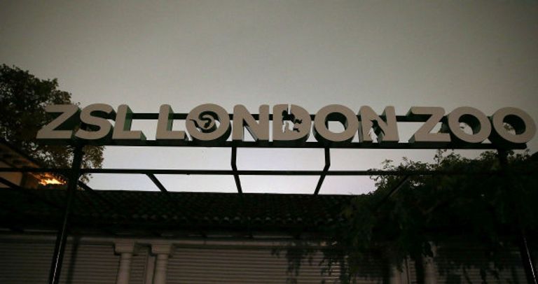 حديقة حيوان لندن