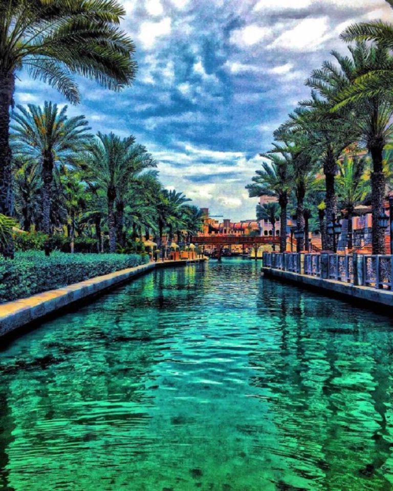 صور من مسابقة Stuff Smartphone Photography Awards