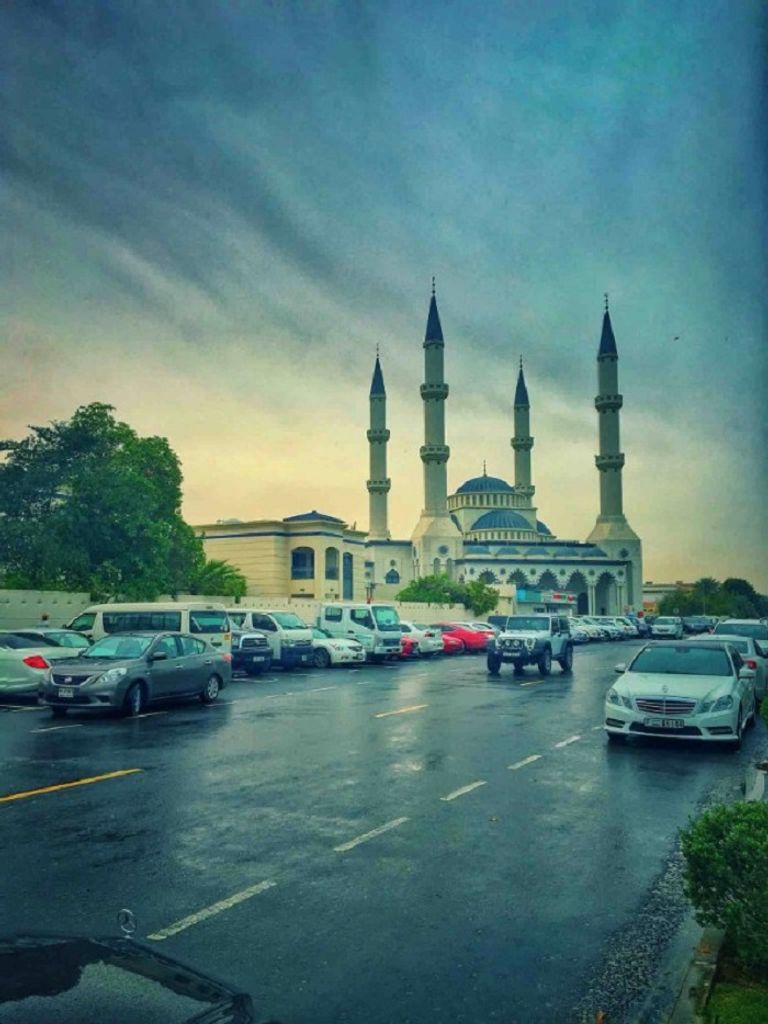 صور من مسابقة Stuff Smartphone Photography Awards