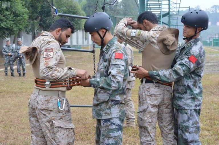 التدريبات تضمنت جملة عمليات نوعية تمرين تعايش