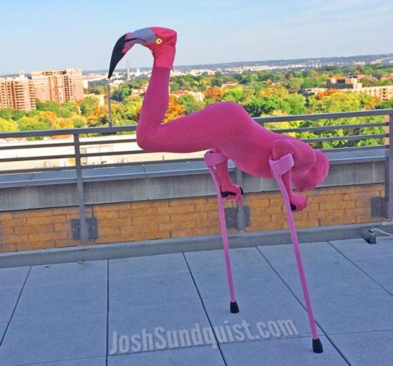 جوشوا يسعى لنشر السعادة