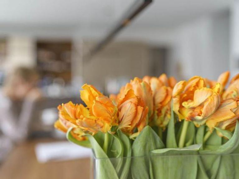 لمسات للسعادة المنزلية