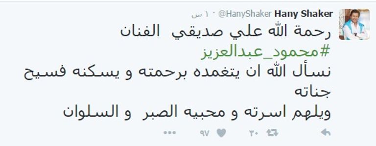 الممثل المصري محمود عبدالعزيز