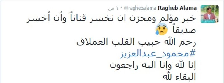 الممثل المصري محمود عبدالعزيز