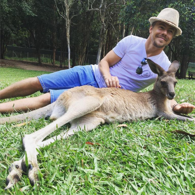 جستن تمبرليك يحمل حيوان الكوالا