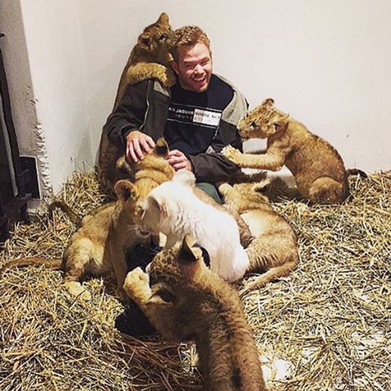 جستن تمبرليك يحمل حيوان الكوالا