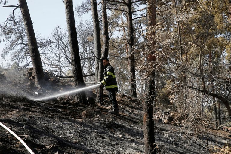 طائرة إطفاء إسرائيلية تحاول السيطرة على الحريق