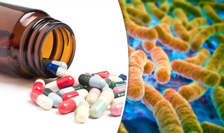 البكتيريا المفترسة