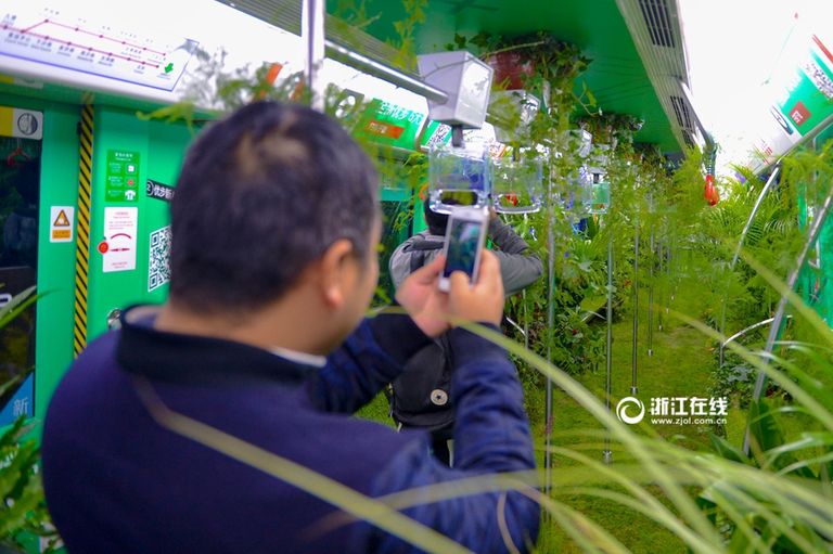 المترو تحول لساحة خضراء