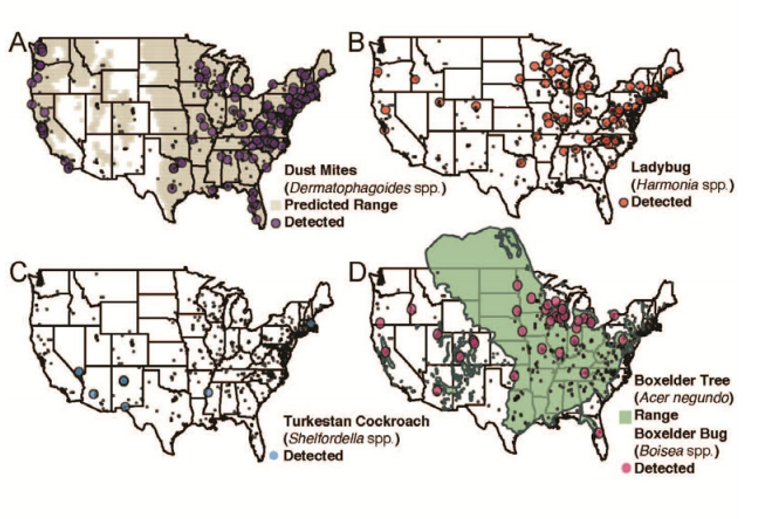 حشرات الغبار لا ترى بالعين المجردة