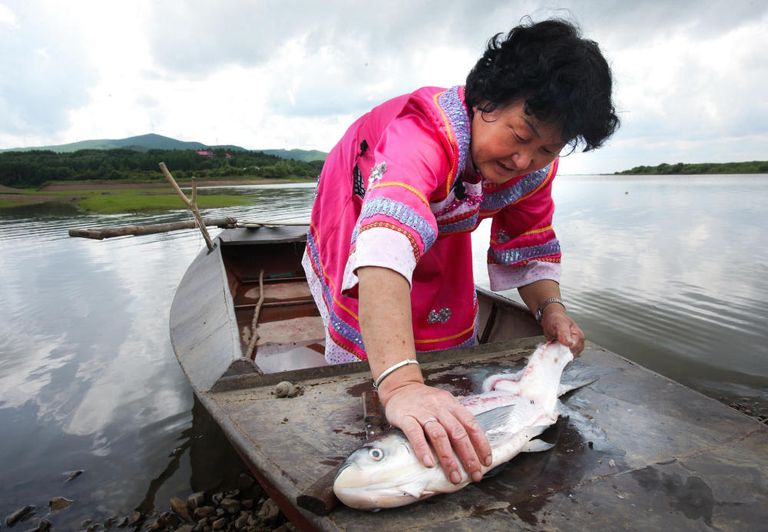 صناعة الملابس من جلود الأسماك