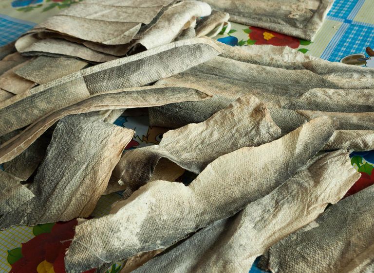 صناعة الملابس من جلود الأسماك