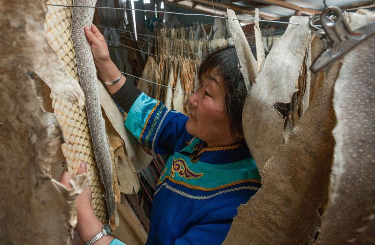 صناعة الملابس من جلود الأسماك