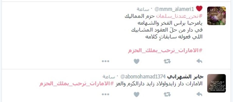 الشيخ محمد بن زايد برفقة الملك سلمان