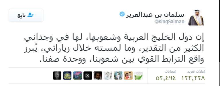 الملك سلمان والشيخ محمد بن زايد