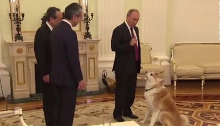بوتين يحاول تهدئة الكلب