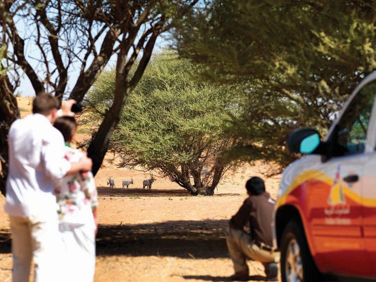 رحلات بالطائرة المائية لضيوف دبي السينمائي