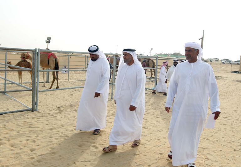 جانب من فعاليات مهرجان الظفرة