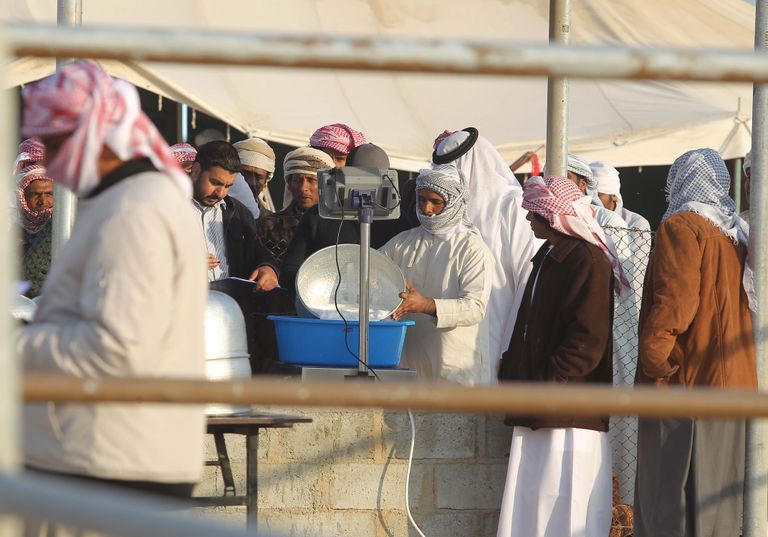 جانب من فعاليات مهرجان الظفرة