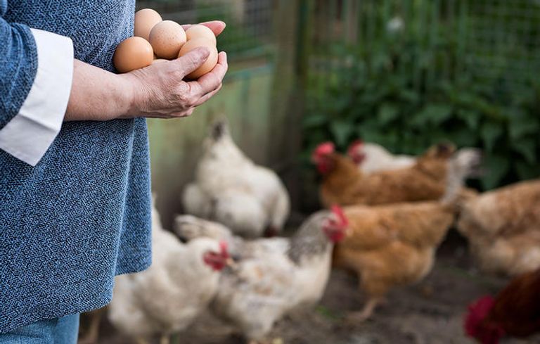 الطعام الصحي ضروري للتخلص من الوزن الزائد