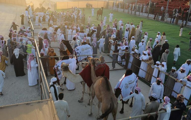 من فعاليات المهرجان