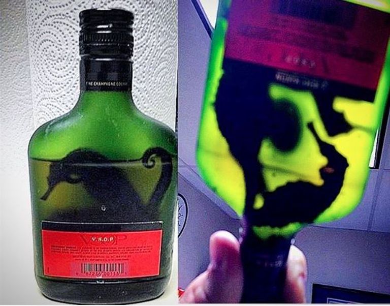 أغرب مضبوطات المطارات الأمريكية