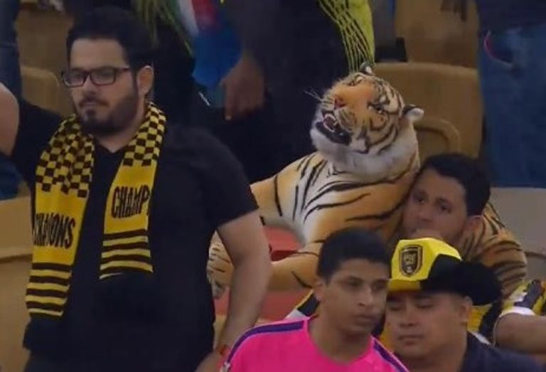 جماهير الاتحاد