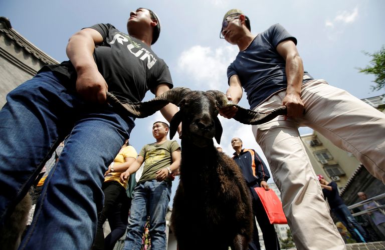 صورة أرشيفية