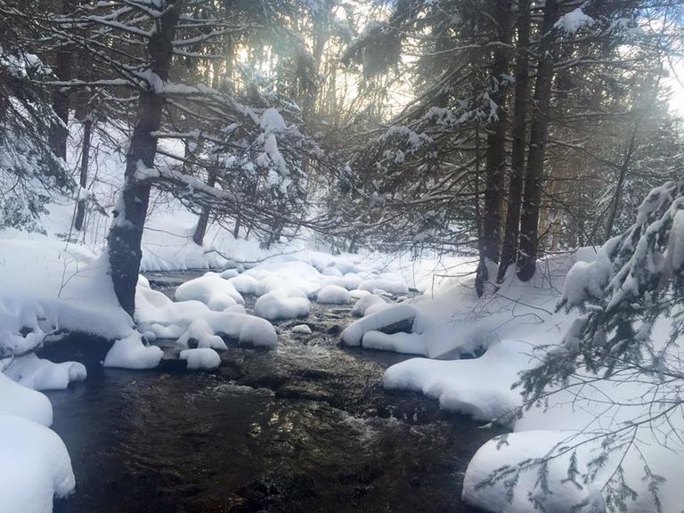 المتجر الكندي تلقى الآلاف من طلبات التعيين