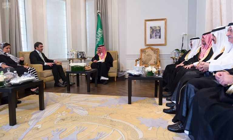 الشيخ عبد الله بن زايد وولي العهد السعودي الأمير محمد بن نايف