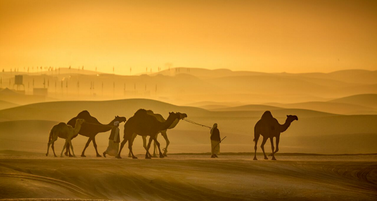 أبوظبي من الأعلى للمصو برنو سادزيك
