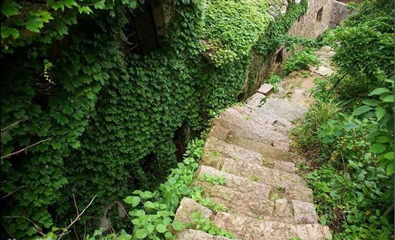 قرية جزيرة جوكي