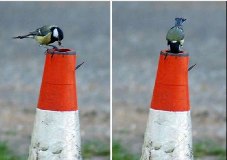 داخل الأقماع المرورية داخل مسراج قديم