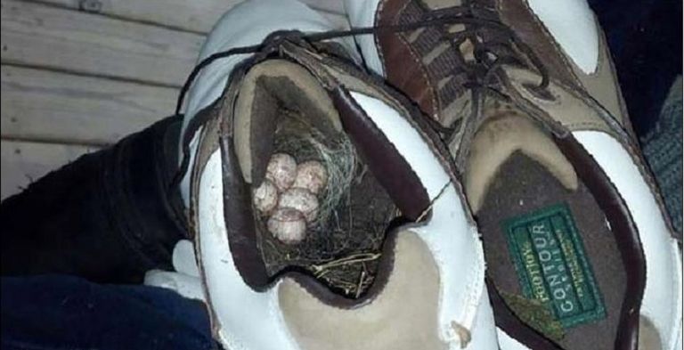 داخل حذاء رياضي داخل مسراج قديم