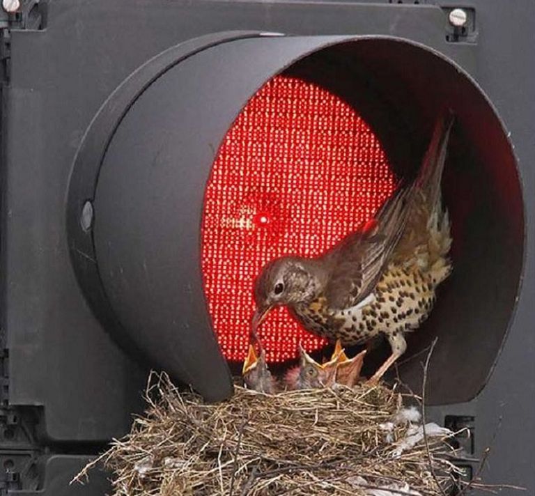 داخل فتحة للتهوية داخل مسراج قديم