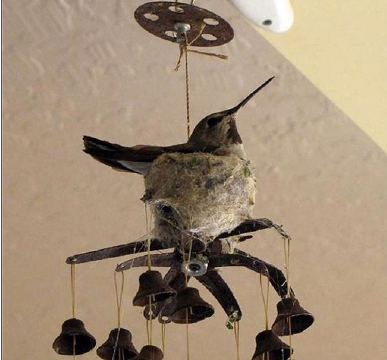 فوق نجفة قديمة داخل مسراج قديم