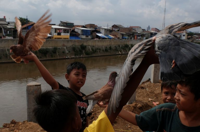 نوفانتو رحمن وعروسه ساندرا فيديليا نوفيانتي