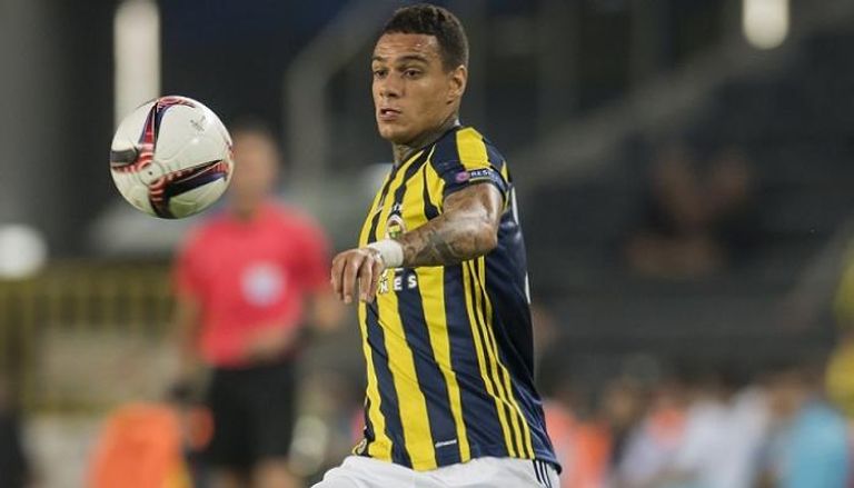 فان دير فيل